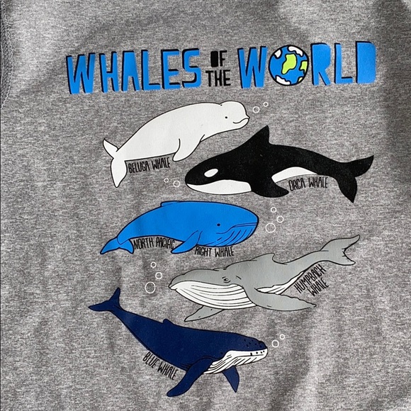 Toddler swim trunks and rash guard - Picture 2 of 3